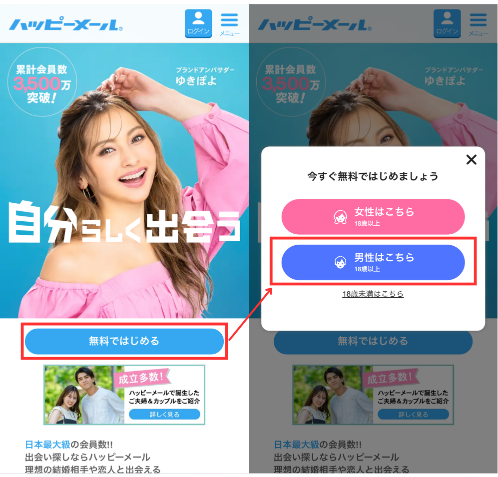 基本情報